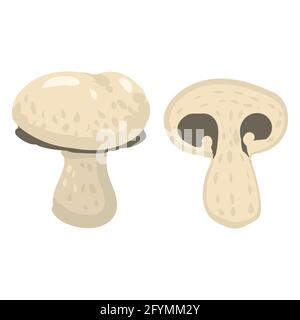 Musrooms, prodotto naturale sano di nutrizione organica, champignon. Vettoriale doodle cartoon piatto illustrazione trendy disegnata a mano isolata Illustrazione Vettoriale