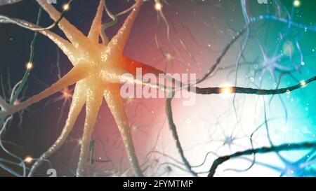 Illustrazione di neuroni o cellule cerebrali Foto Stock