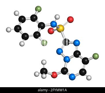 Molecola erbicida di florasulam, illustrazione Foto Stock
