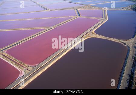 FRANCIA. GARD (30) PETITE CAMARGUE (PICCOLA CAMARGUE). SALINS DE GIRAUD SALT MARSH (VISTA AEREA) Foto Stock