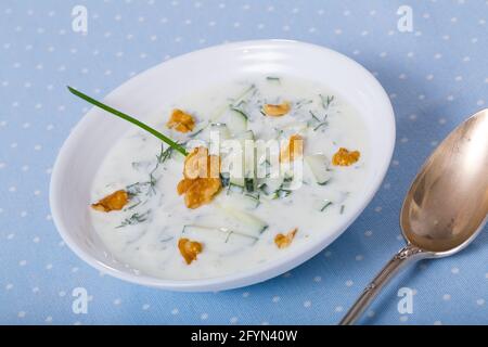 Cucina bulgara. Zuppa tradizionale refrigerata Tarator su yogurt con cetrioli freschi, aneto e noci in piatto bianco Foto Stock