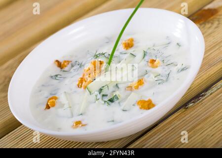 Tradizionale a freddo macedone zuppa di verdure con Tarator cetriolo, noci, l'aglio e yogurt Foto Stock