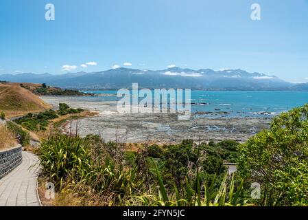 Costa del Pacifico a Kaikoura, Isola del Sud della Nuova Zelanda Foto Stock