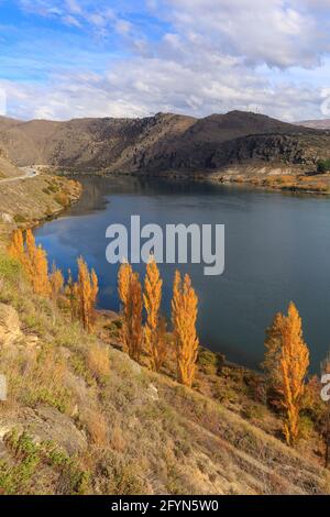 Lago Dunstan, un lago sul fiume Clutha, nell'Isola del Sud della Nuova Zelanda, con alberi di pioppo autunnali sulla riva Foto Stock