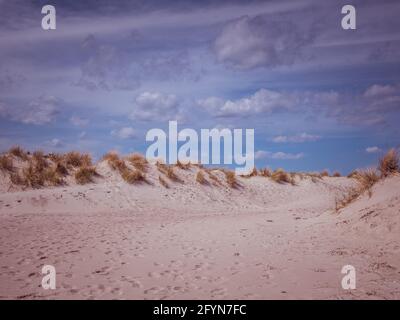 Dune di sabbia sulla spiaggia di Warnemuende sul Baltico Mare Foto Stock
