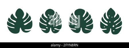 Icona di Monstera. Collezione di foglie tropicali. Foglia esotica della giungla. Set di piante di Monstera Deliciosa. Illustrazione Vettoriale