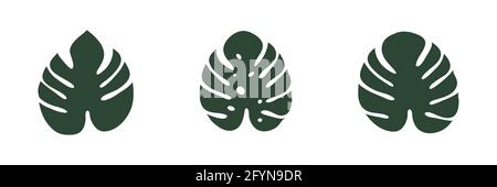 Icona di Monstera. Collezione di foglie tropicali. Foglia esotica della giungla. Set di piante di Monstera Deliciosa. Illustrazione Vettoriale