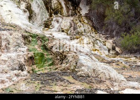 Meraviglie naturali a Waiotapu Thermal Wonderland, Rotorua in Nuova Zelanda Foto Stock