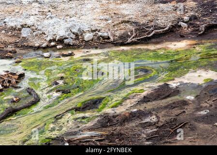 Meraviglie naturali a Waiotapu Thermal Wonderland, Rotorua in Nuova Zelanda Foto Stock