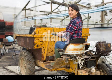 Donna contadina latino-americana che lavora in un'azienda che guida un mini dump truck toglie fuori per gettare le erbacce. Foto Stock