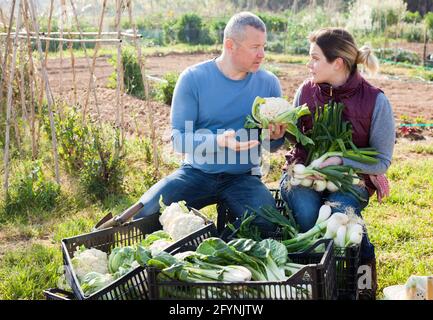 Paio di giardinieri professionali in piedi con il raccolto di ortaggi in giardino Foto Stock