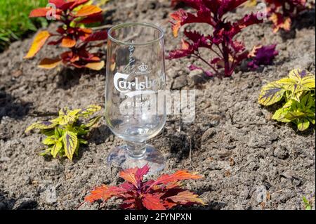 Old Amersham, Buckinghamshire, Regno Unito. 29 maggio 2021. Uno troppo per qualcuno come un bicchiere di birra è lasciato in un giardino pubblico. La gente si è goduto il sole caldo bello oggi nella città vecchia di Amersham dopo l'eliminazione di più delle restrizioni di Covid-19. Credit: Maureen McLean/Alamy Live News Foto Stock