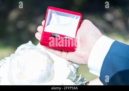 Anelli di nozze in una scatola tenuta in una mano maschio. Simbolo del matrimonio. Preparazione per il matrimonio. Foto Stock