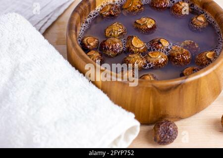 Rosolare le saponette secche (Soapbaces, Sapindus Mukorossi) in acqua con l'asciugamano per la lavanderia biologica e la cura delicata della pelle naturale su sfondo chiaro Foto Stock