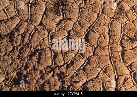 Terreno asciutto e incrinato nel deserto. Texture ravvicinata. Foto Stock