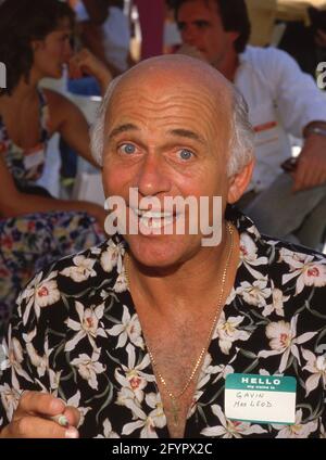 **FILE FOTO** Gavin MacLeod è passato via a 90. Gavin MacLeod Circa 1980's Credit: Ralph Dominguez/MediaPunch Foto Stock