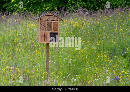 Bruxelles, Belgio, 28 maggio 2021. Hotel per insetti, casa per insetti, box per nidificazione nel giardino del Palazzo reale Foto Stock