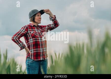 Agronomo responsabile dell'agricoltore del grano che guarda il suo campo agricolo coltivato a cereali, operatrice femminile che posa su terreni agricoli Foto Stock