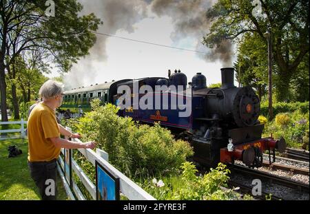 Tenterden, Regno Unito. 29 maggio 2021. Torna in pista. La locomotiva a vapore Frank S. Ross n. 300 è in funzione il primo giorno del fine settimana di festa della Banca di primavera sulla ferrovia Kent & East Sussex. La linea storica va dalla stazione di Tenterden Town nel Weald of Kent attraverso la Valle del Rother a Bodiam. Credit: Richard Crease/Alamy Live News Foto Stock