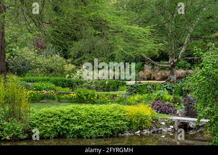 Fiori colorati, alberi e arbusti circondano il lago presso il John Lewis Longstock Park Water Garden sulla Leckford Estate, Stockbridge, Hampshire UK Foto Stock