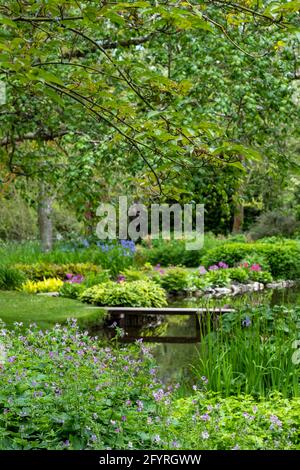 Fiori colorati, alberi e arbusti circondano il lago presso il John Lewis Longstock Park Water Garden sulla Leckford Estate, Stockbridge, Hampshire UK Foto Stock