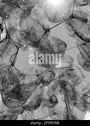 WATTENS, AUSTRIA - 26 luglio 2020: Crystal Cloud & Mirror Pool nel giardino di Kristallwelten Foto Stock