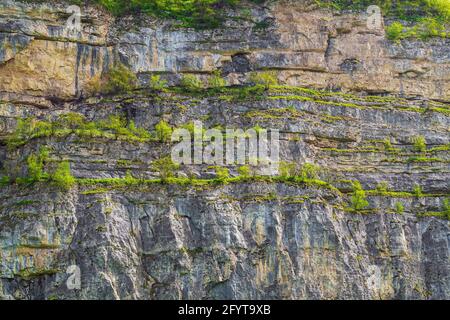 Scogliera a strapiombo con alberi in crescita Foto Stock