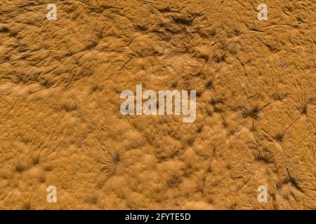 intonaco sculpturesque arancio con intaccatura decorativa finitura murale texture e. sfondo Foto Stock