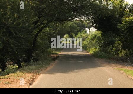 Una strada vuota in mezzo alla foresta per camminare o fare esercizio tristemente Foto Stock