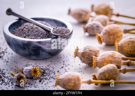 Mazzo di teste di papavero e ciotola con semi sul tavolo da cucina. Foto Stock