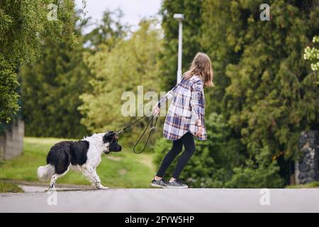 Adolescente ragazza tirando il suo cane testardo sul guinzaglio animale durante la passeggiata in città. Foto Stock