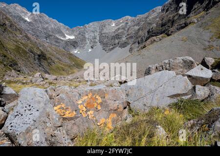 Otira Valley Walk, Otira, vicino a Arthurs Pass, Canterbury, Isola del Sud, Nuova Zelanda Foto Stock