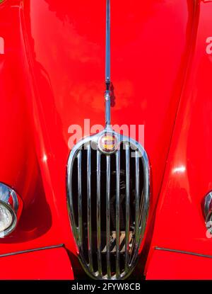 Jaguar XK140 Foto Stock