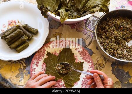 Mani donna, preparazione di piatti tradizionali turchi e greci foglie d'uva farcite, concetto alimentare. Foto Stock