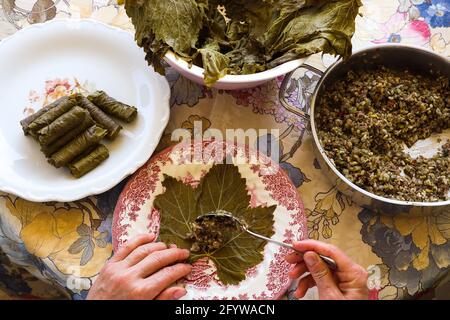 Mani donna, preparazione di piatti tradizionali turchi e greci foglie d'uva farcite, concetto alimentare. Foto Stock
