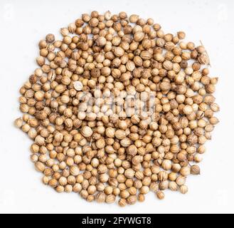 vista dall'alto del mucchio di semi di coriandolo essiccato da vicino su piastra in ceramica grigia Foto Stock