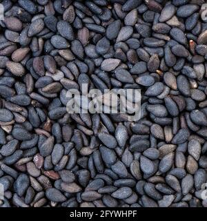 fondo di cibo quadrato - semi di sesamo nero primo piano Foto Stock