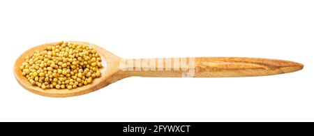 cucchiaio di legno con semi gialli di brassica juncea senape isolato su sfondo bianco Foto Stock