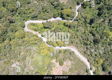 Una strada panoramica si snoda attraverso le colline ricoperte di vegetazione della East Bay, a pochi chilometri dalla Baia di San Francisco, nella California settentrionale. Foto Stock