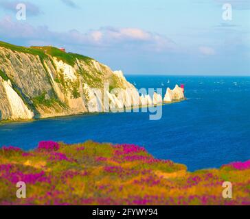 Regno Unito, Inghilterra, Isola di Wight, gli aghi, estate, Foto Stock