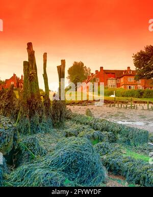 Regno Unito, Inghilterra, Hampshire, Bucklers Hard, estuario di Beaulieu, primavera, bassa marea, resti del 18 ° secolo di costruzione navale struttura, Foto Stock