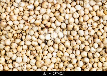 Cibo di fondo - molti grumi di sorgo grezzi non lucidati primo piano Foto Stock