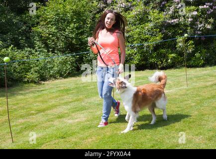 Spettacolo di cani al Rhu Gala, Scozia, con la giovane signora e il collie cane Foto Stock