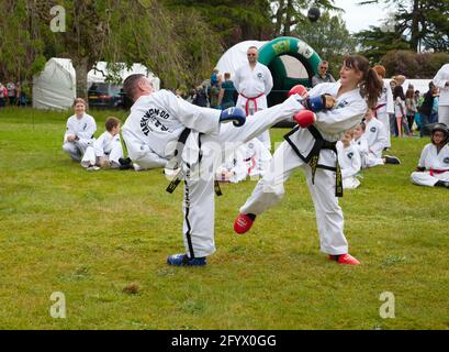 Dimostrazione di TAE Kwon-do al Rhu Gala, Scozia Foto Stock