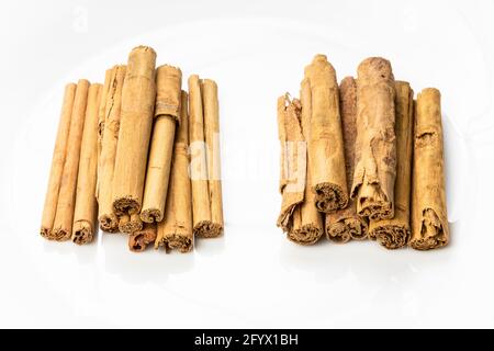 due tipi di cinnamon ceylon - erba premium e continentale su piastra bianca Foto Stock