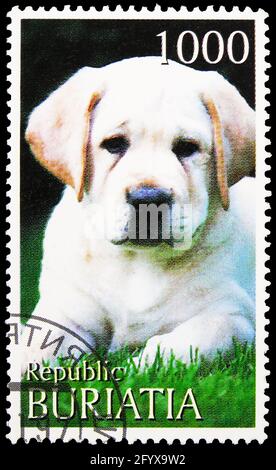 MOSCA, RUSSIA - 27 SETTEMBRE 2019: Francobollo stampato a Cinderellas (Buryatia, Russia) mostra Labrador Retriever, serie, circa 1997 Foto Stock