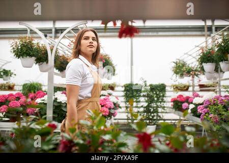 Attraente fiorista femminile in T-shirt bianca e grembiule beige che si occupa di varie piante in serra. Concetto di persone, lavoro e giardinaggio. Foto Stock