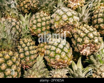 Cumulo di ananas frutti tropicali nel mercato. Foto Stock