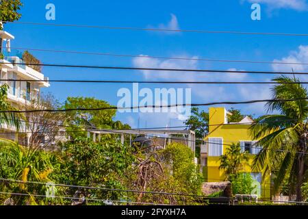 La natura delle palme e gli hotel e appartamenti a Playa del Carmen Messico. Foto Stock