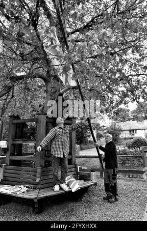 Residenti del villaggio di Aston on on Clun Shropshire meridionale che prepara il famoso albero dei Pioppi neri per il giorno di Arbor. FOTO DI DAVE BAGNALL Foto Stock